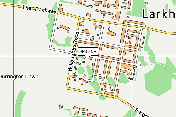 SP4 8NP map - OS VectorMap District (Ordnance Survey)