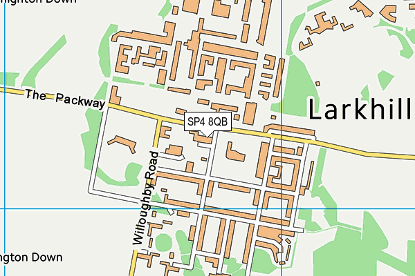 Larkhill Primary School map (SP4 8QB) - OS VectorMap District (Ordnance Survey)