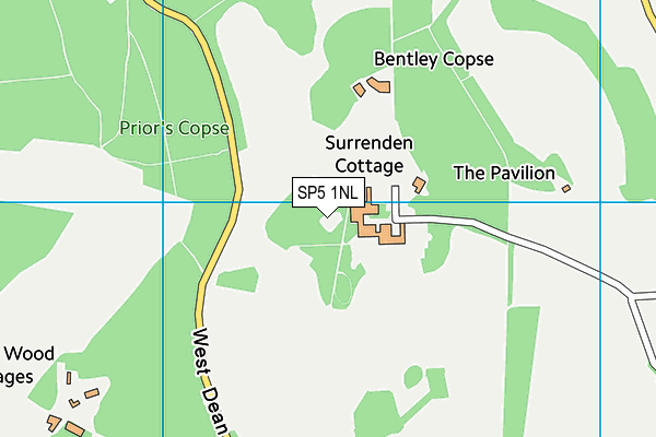 SP5 1NL map - OS VectorMap District (Ordnance Survey)