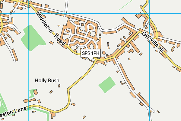 SP5 1PH map - OS VectorMap District (Ordnance Survey)