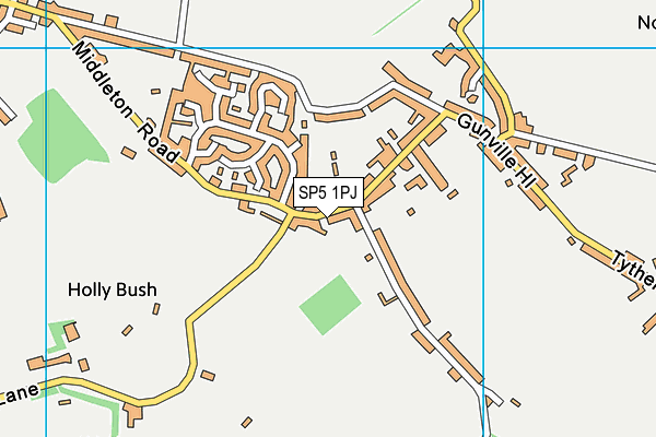 SP5 1PJ map - OS VectorMap District (Ordnance Survey)