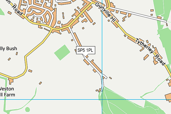 SP5 1PL map - OS VectorMap District (Ordnance Survey)