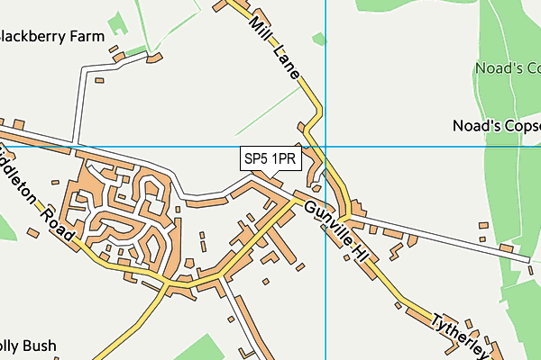 SP5 1PR map - OS VectorMap District (Ordnance Survey)