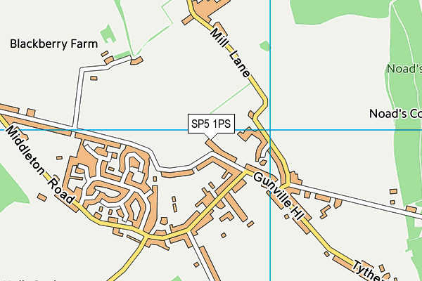 SP5 1PS map - OS VectorMap District (Ordnance Survey)