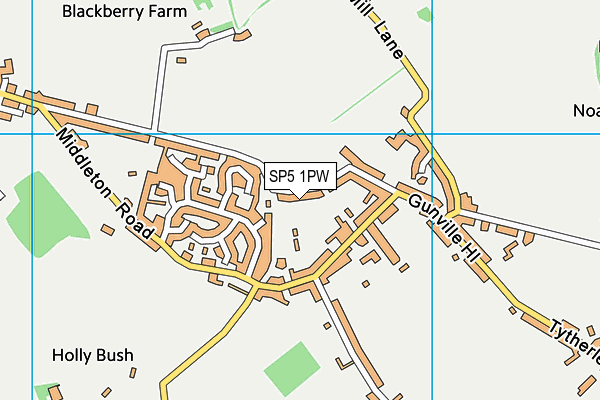SP5 1PW map - OS VectorMap District (Ordnance Survey)