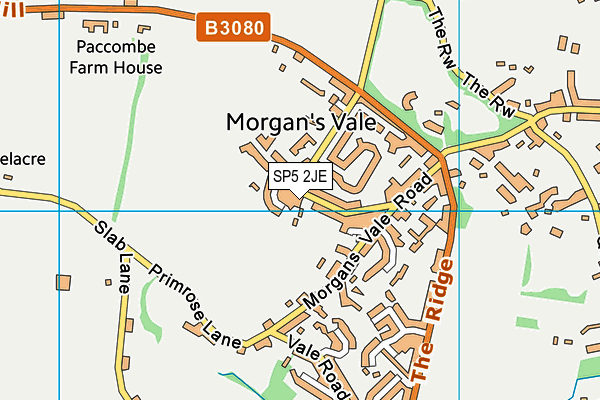 SP5 2JE map - OS VectorMap District (Ordnance Survey)