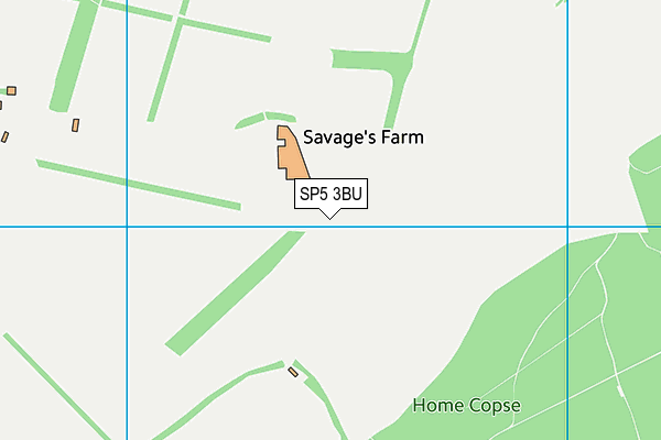 SP5 3BU map - OS VectorMap District (Ordnance Survey)