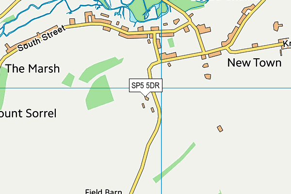 SP5 5DR map - OS VectorMap District (Ordnance Survey)