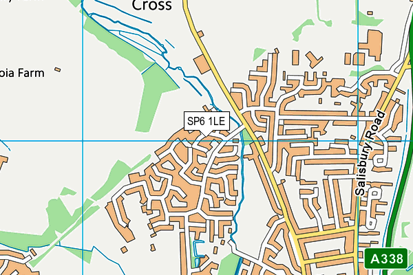 SP6 1LE map - OS VectorMap District (Ordnance Survey)