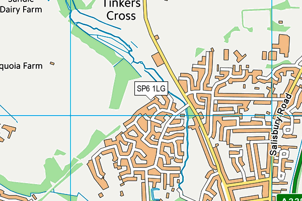 SP6 1LG map - OS VectorMap District (Ordnance Survey)