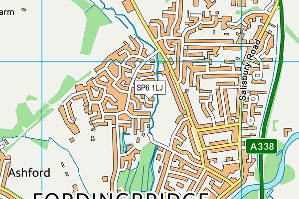 SP6 1LJ map - OS VectorMap District (Ordnance Survey)