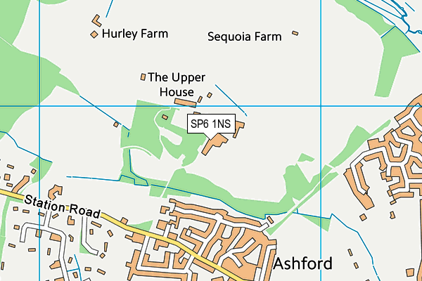 Forres Sandle Manor School map (SP6 1NS) - OS VectorMap District (Ordnance Survey)
