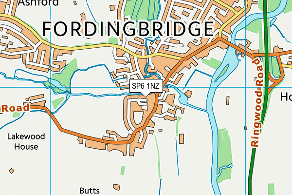 SP6 1NZ map - OS VectorMap District (Ordnance Survey)