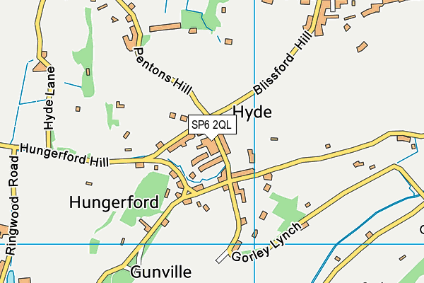 Hyde Common map (SP6 2QL) - OS VectorMap District (Ordnance Survey)