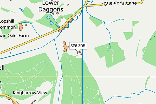 SP6 3DR map - OS VectorMap District (Ordnance Survey)