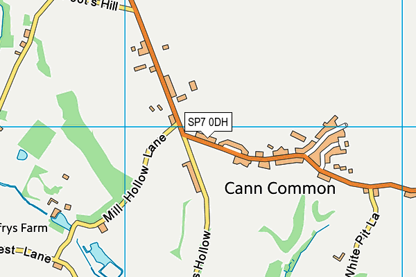 SP7 0DH map - OS VectorMap District (Ordnance Survey)