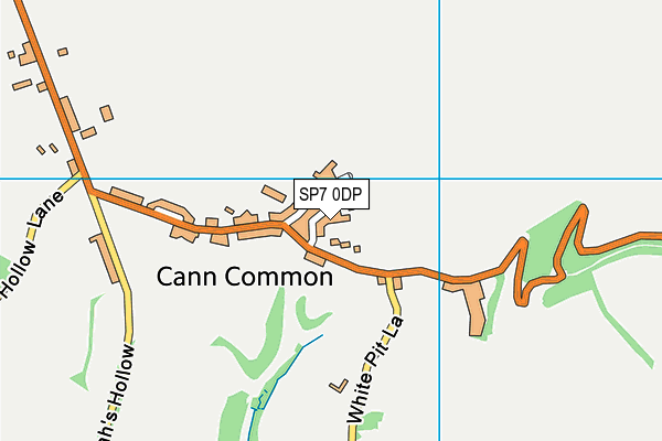 SP7 0DP map - OS VectorMap District (Ordnance Survey)