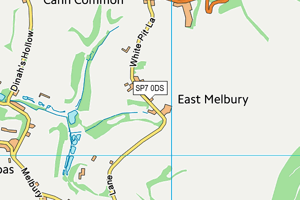 SP7 0DS map - OS VectorMap District (Ordnance Survey)