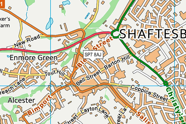 SP7 8AJ map - OS VectorMap District (Ordnance Survey)