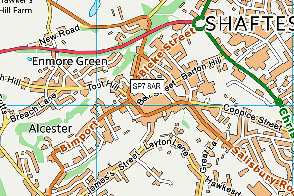 Map of PAWS & CLAWS SHAFTESBURY LTD at district scale