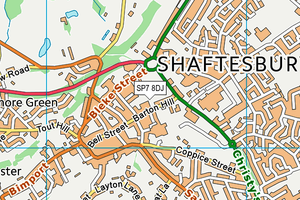 SP7 8DJ map - OS VectorMap District (Ordnance Survey)