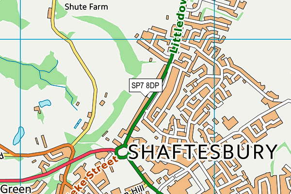 SP7 8DP map - OS VectorMap District (Ordnance Survey)