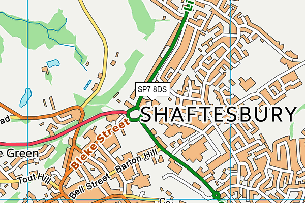 SP7 8DS map - OS VectorMap District (Ordnance Survey)