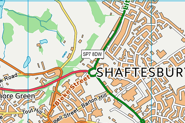 SP7 8DW map - OS VectorMap District (Ordnance Survey)