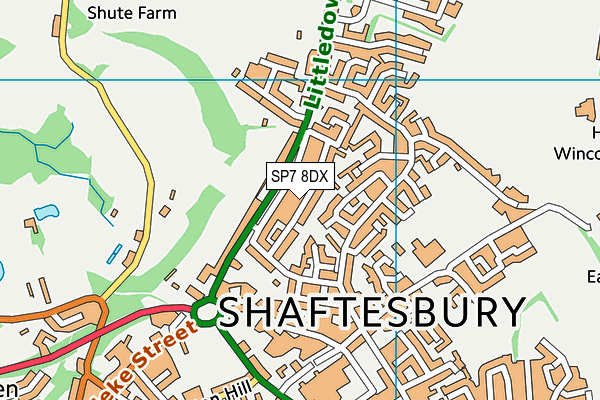 SP7 8DX map - OS VectorMap District (Ordnance Survey)