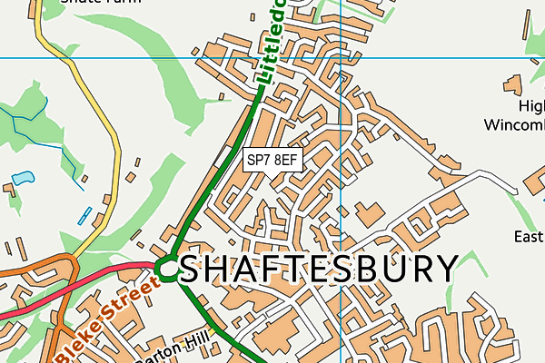 SP7 8EF map - OS VectorMap District (Ordnance Survey)