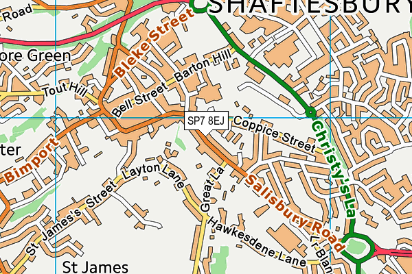 SP7 8EJ map - OS VectorMap District (Ordnance Survey)