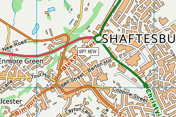 SP7 8EW map - OS VectorMap District (Ordnance Survey)