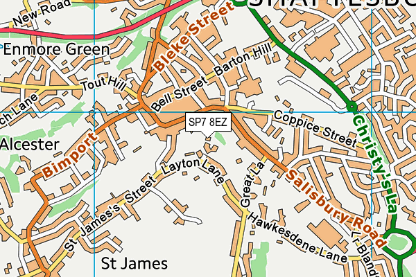 SP7 8EZ map - OS VectorMap District (Ordnance Survey)