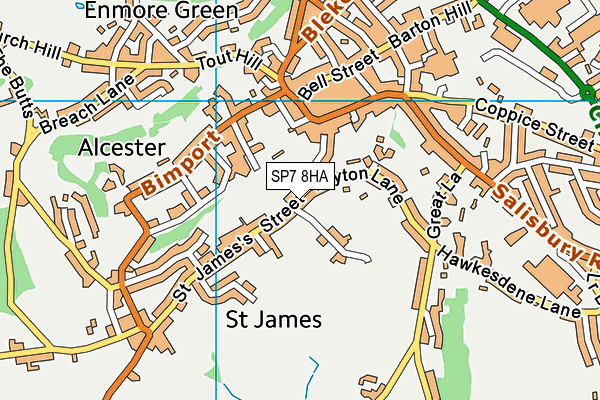 SP7 8HA map - OS VectorMap District (Ordnance Survey)