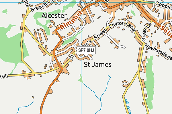 SP7 8HJ map - OS VectorMap District (Ordnance Survey)
