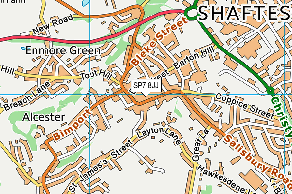 SP7 8JJ map - OS VectorMap District (Ordnance Survey)