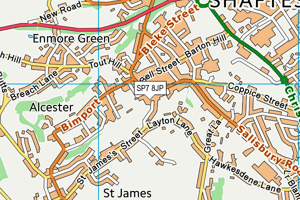 SP7 8JP map - OS VectorMap District (Ordnance Survey)