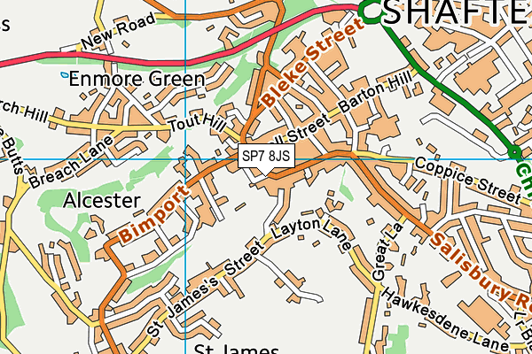 SP7 8JS map - OS VectorMap District (Ordnance Survey)