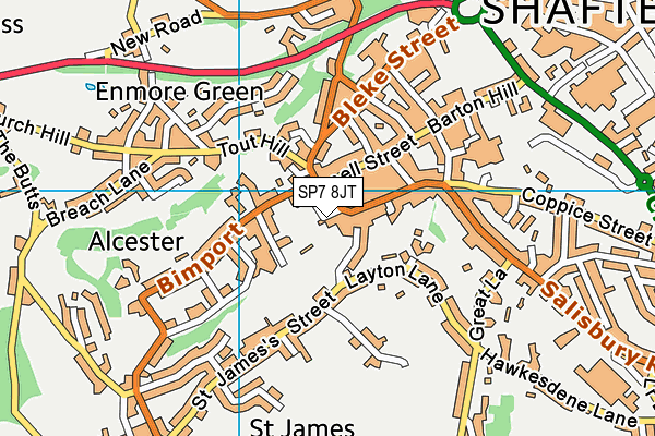 SP7 8JT map - OS VectorMap District (Ordnance Survey)