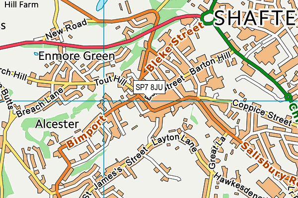 SP7 8JU map - OS VectorMap District (Ordnance Survey)