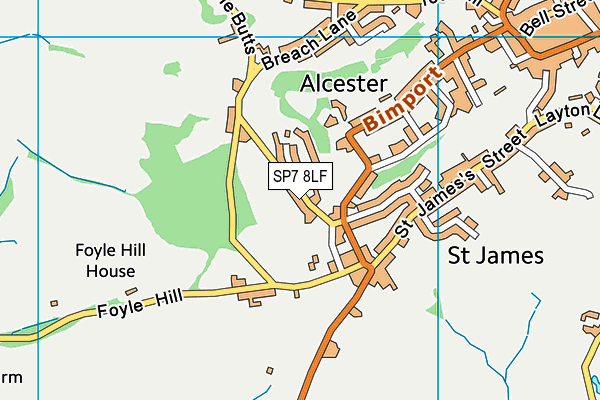 SP7 8LF map - OS VectorMap District (Ordnance Survey)