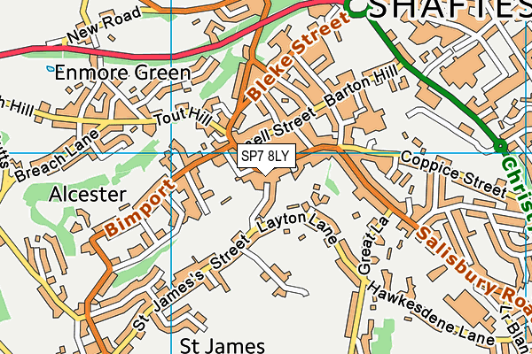 SP7 8LY map - OS VectorMap District (Ordnance Survey)