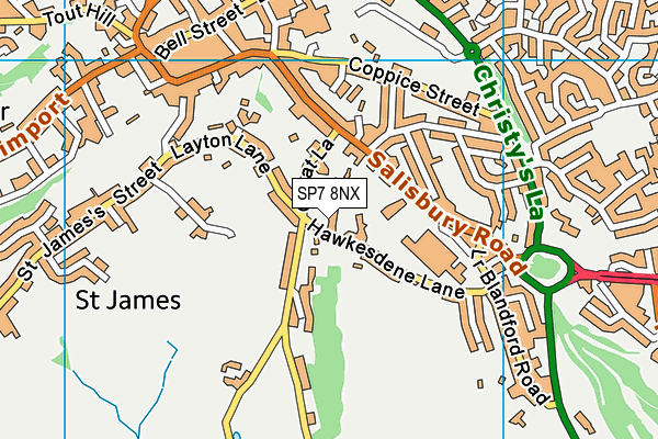 SP7 8NX map - OS VectorMap District (Ordnance Survey)