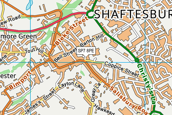SP7 8PE map - OS VectorMap District (Ordnance Survey)