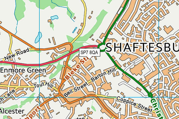 SP7 8QA map - OS VectorMap District (Ordnance Survey)