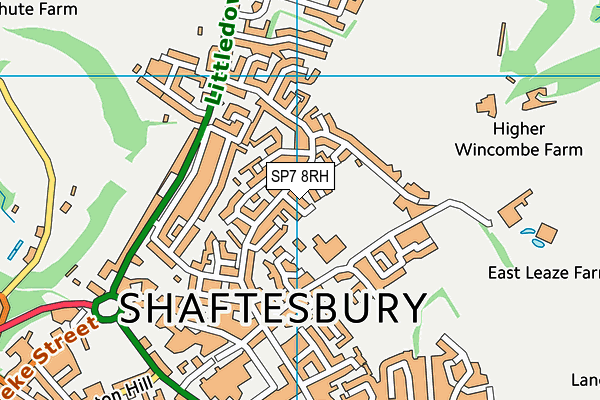 SP7 8RH map - OS VectorMap District (Ordnance Survey)