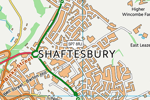 SP7 8RJ map - OS VectorMap District (Ordnance Survey)