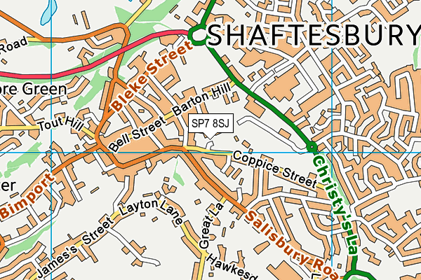 SP7 8SJ map - OS VectorMap District (Ordnance Survey)