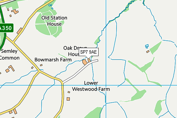 SP7 9AE map - OS VectorMap District (Ordnance Survey)