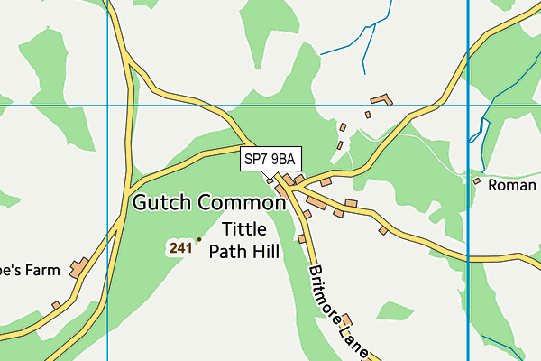 SP7 9BA map - OS VectorMap District (Ordnance Survey)